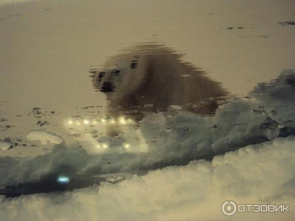 Выставка Фотоконкурс Российского географического общества Самая красивая страна в ЦДХ (Россия, Москва)