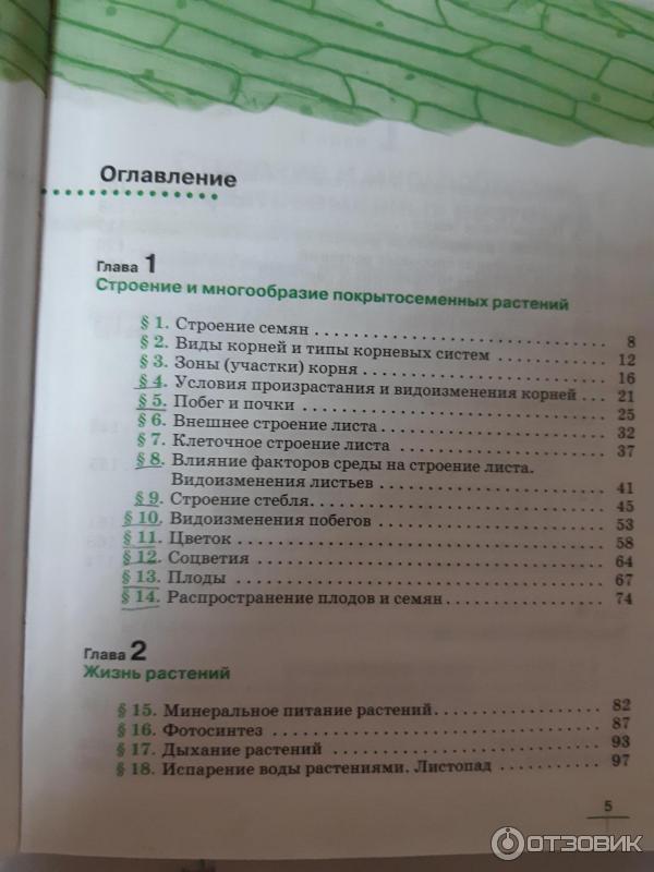 Конспект по биологии 6 класс параграф 28