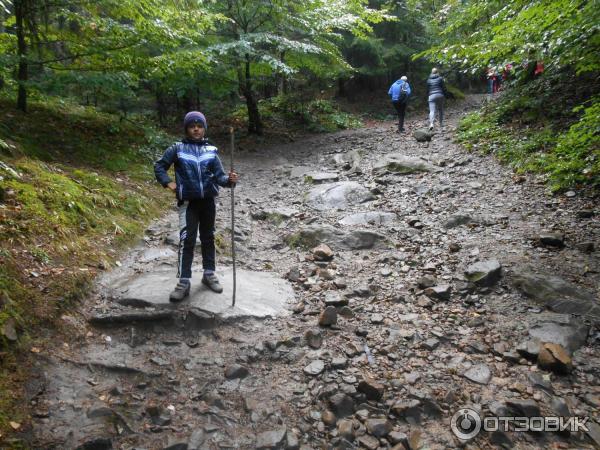 Экскурсия Стежка Довбуша (Украина, Яремче) фото