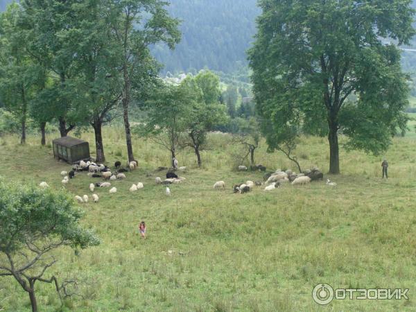 Экскурсия Стежка Довбуша (Украина, Яремче) фото