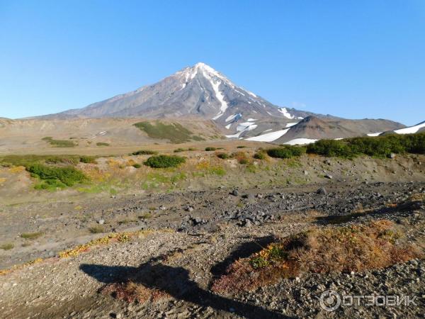 Авачинский вулкан (Россия, Камчатка) фото