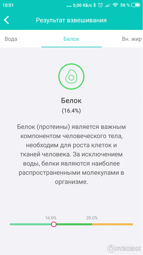 Весы Xiaomi Белок