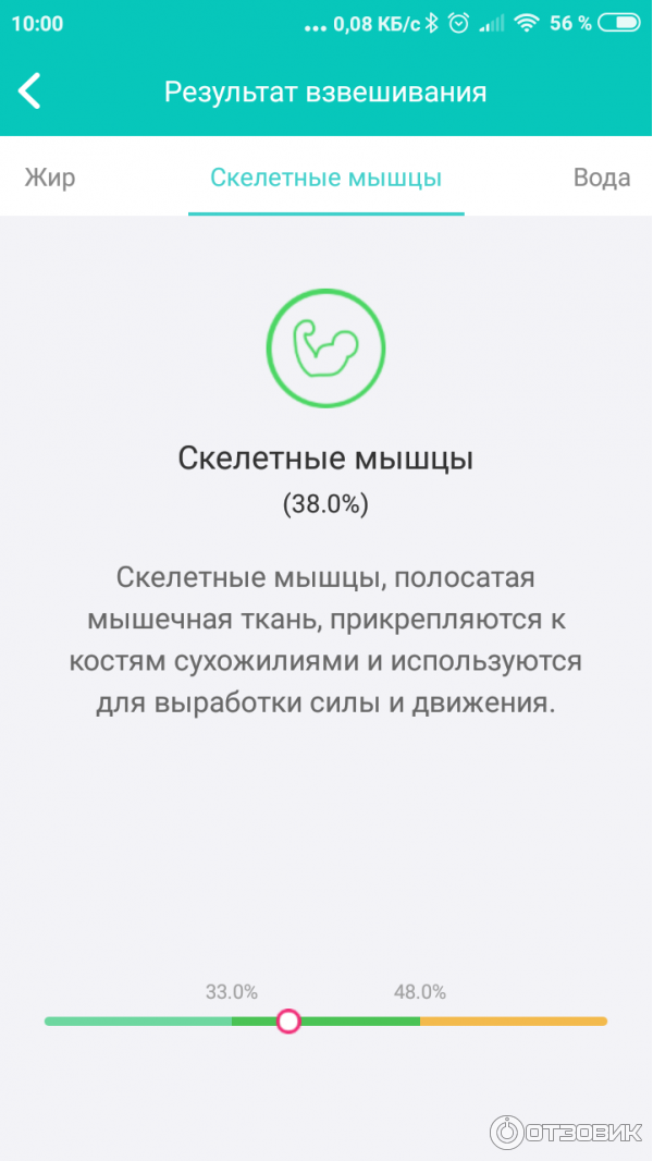 Весы Xiaomi Мышцы