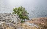 Объектив Sigma AF 17-70mm F2.8-4 DC Macro OS HSM фото