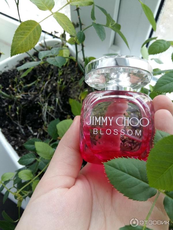 Парфюмерная вода Jimmy Choo Blossom фото