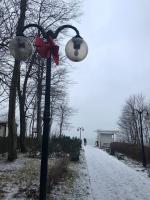 Отель Schloss-Hotel Yantarny 5* (Россия, Янтарный) фото