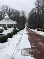 Отель Schloss-Hotel Yantarny 5* (Россия, Янтарный) фото