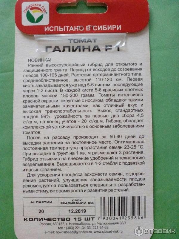 Томат галина отзывы фото Отзыв о Семена томата Сибирский сад "Галина F1" Много плюсов, но не очень ранние