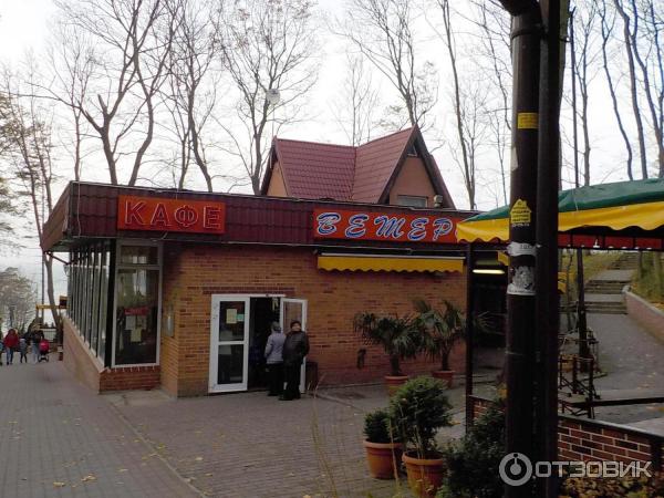 Кафе на кузьминка