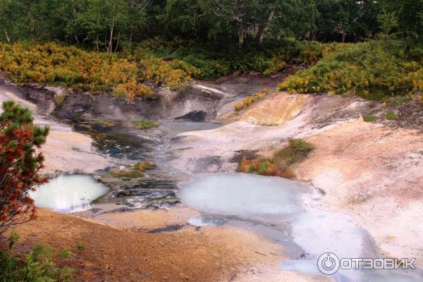 Экскурсия к кальдере вулкана Узон (Россия, Камчатский край) фото