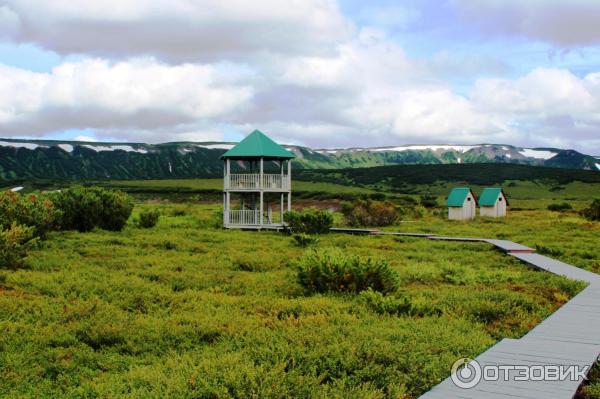 Экскурсия к кальдере вулкана Узон (Россия, Камчатский край) фото