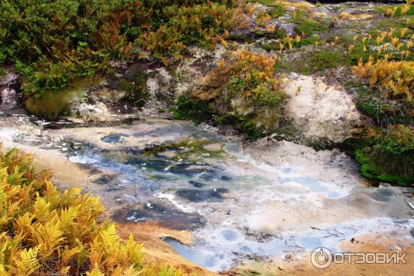 Экскурсия к кальдере вулкана Узон (Россия, Камчатский край) фото