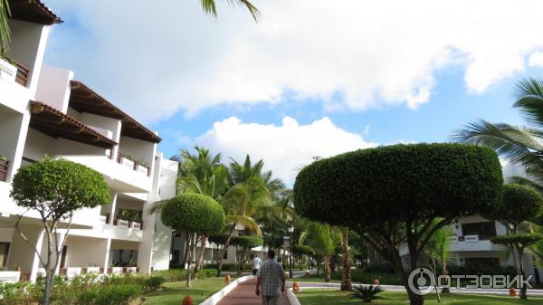 Отель Occidental Grand Punta Cana 4* (Доминикана, Пунта Кана) фото