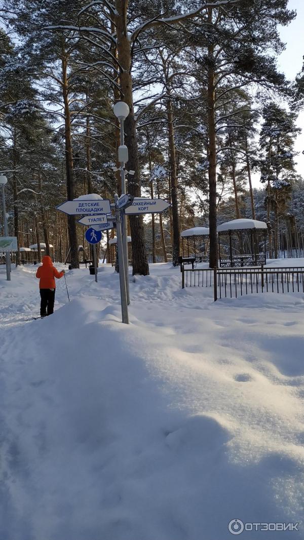 Парк Гилевская роща (Россия, Тюмень) фото