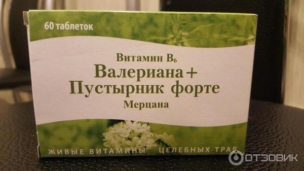 Пустырник сердечный в наличии низкая цена - рассада, описание, отзывы, фото, пос
