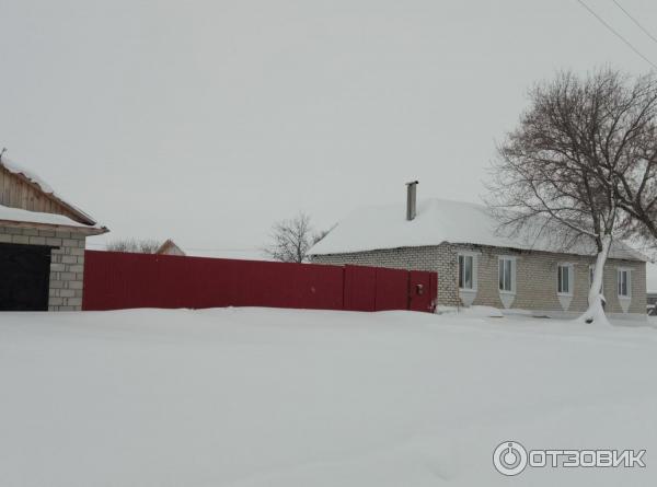 Музей Дом со львом в с. Поповка (Россия, Саратовская область) фото