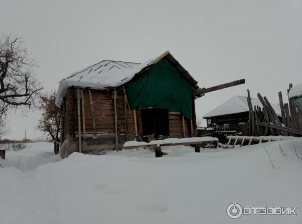 Музей Дом со львом в с. Поповка (Россия, Саратовская область) фото