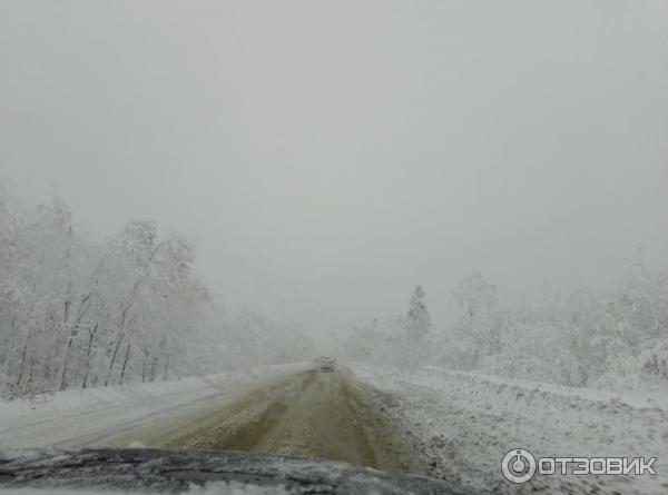 Музей Дом со львом в с. Поповка (Россия, Саратовская область) фото