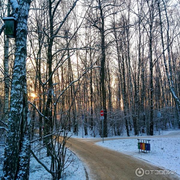 Ландшафтный Заказник Теплый Стан Фото