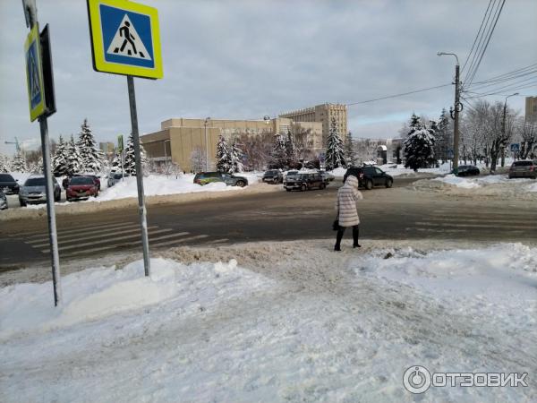 Дворец водного спорта Сура (Россия, Пенза) фото