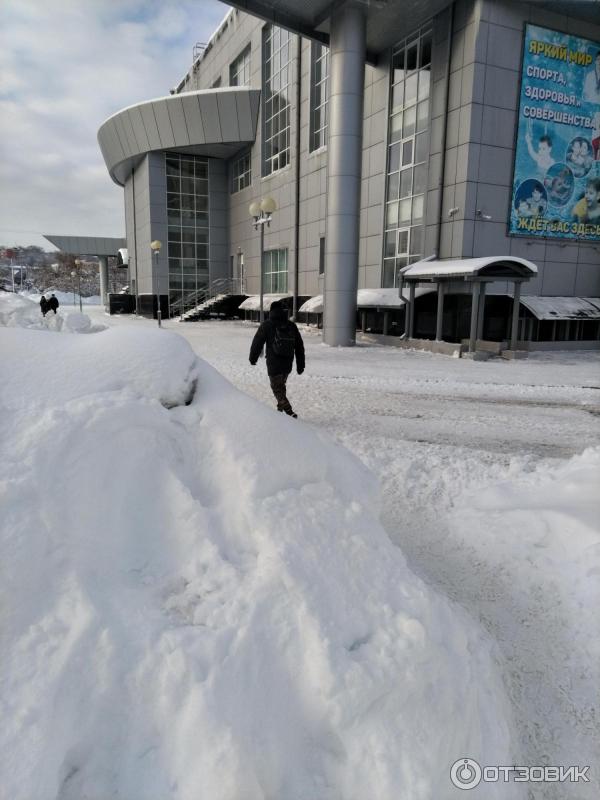 Дворец водного спорта Сура (Россия, Пенза) фото