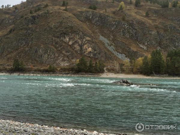 Вид на Катунь напротив турбазы Алатырь Алтая