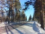 Экскурсия по г. Руоколахти (Финляндия, Южная Карелия) фото