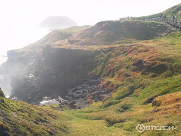 Экскурсия по г. Мельбурн (Австралия, Виктория) фото