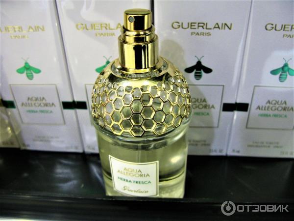 Туалетная вода Guerlain Aqua Allegoria Herba Fresca фото