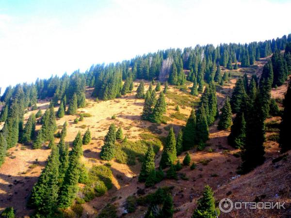 Горнолыжная база Ак Булак (Казахстан, Алматинская область) фото