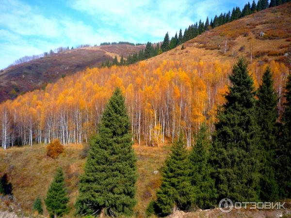 Горнолыжная база Ак Булак (Казахстан, Алматинская область) фото