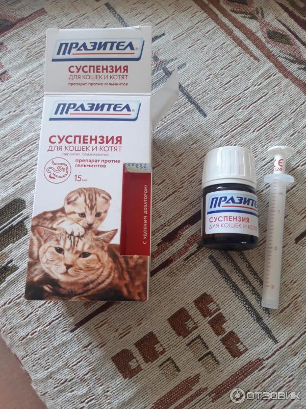 Празител для кошек суспензия