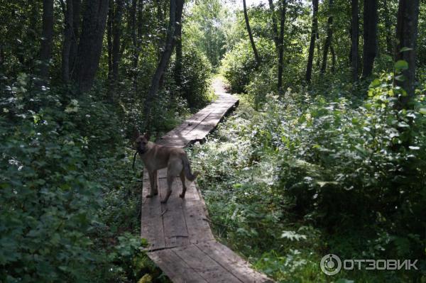 Отдых на озере Селигер (Россия, Тверская область) фото