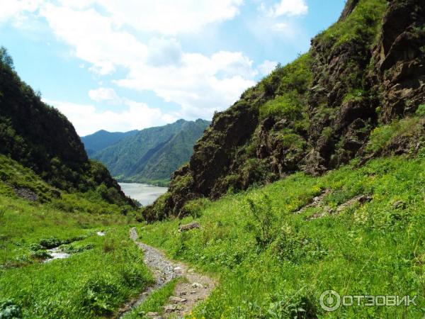 Урочище Че-Чкыш (Россия, Алтай) фото