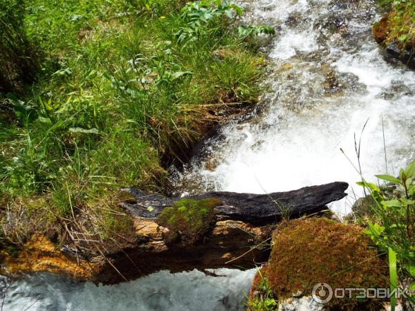 Урочище Че-Чкыш (Россия, Алтай) фото