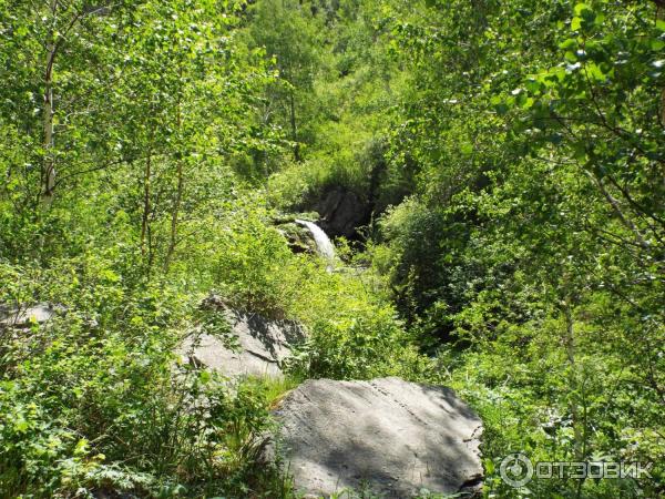 Урочище Че-Чкыш (Россия, Алтай) фото