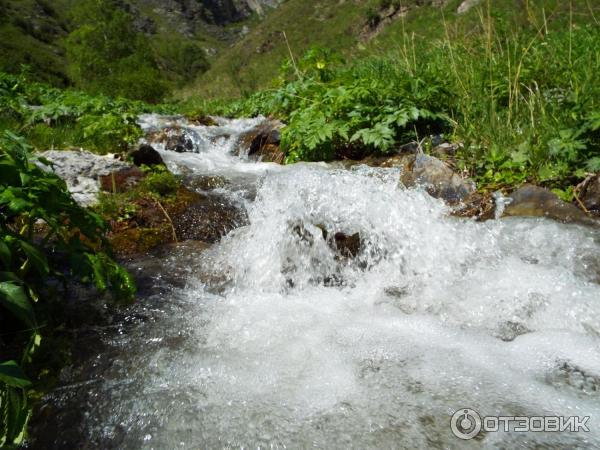 Урочище Че-Чкыш (Россия, Алтай) фото