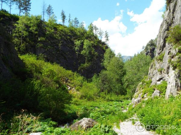 Урочище Че-Чкыш (Россия, Алтай) фото