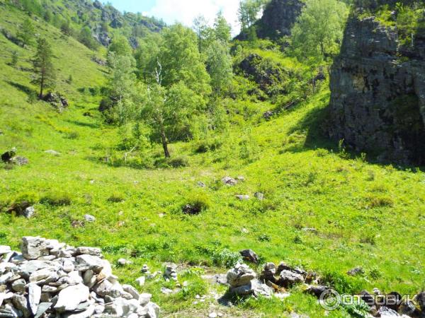 Урочище Че-Чкыш (Россия, Алтай) фото