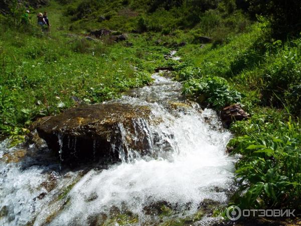 Урочище Че-Чкыш (Россия, Алтай) фото