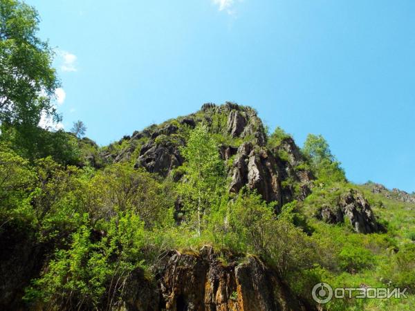 Урочище Че-Чкыш (Россия, Алтай) фото