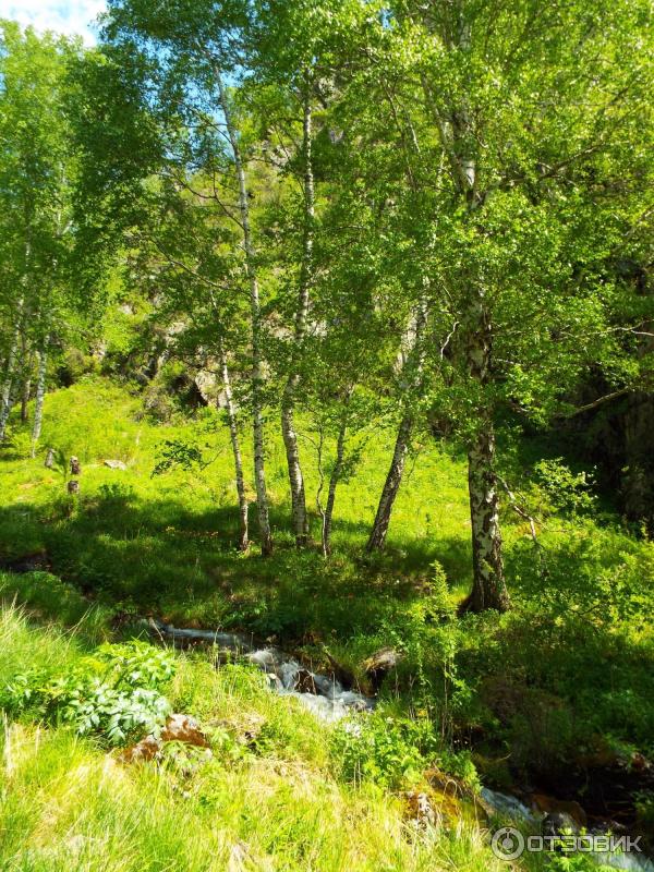 Урочище Че-Чкыш (Россия, Алтай) фото