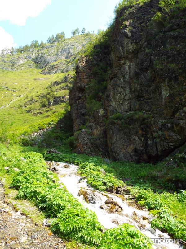 Урочище Че-Чкыш (Россия, Алтай) фото