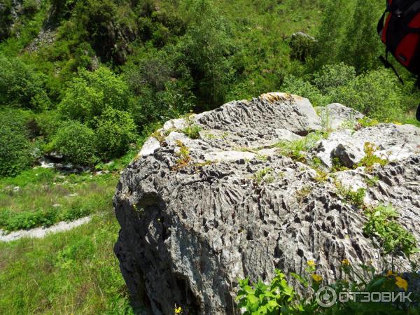 Урочище Че-Чкыш (Россия, Алтай) фото