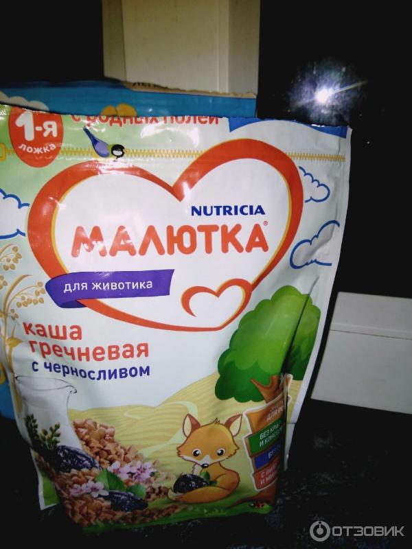 Каша молочная гречневая Nutricia Малютка фото