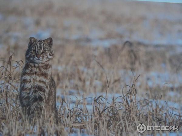 Выставка Российского географического общества Редкий вид в Таганском парке культуры и отдыха (Россия, Москва) фото