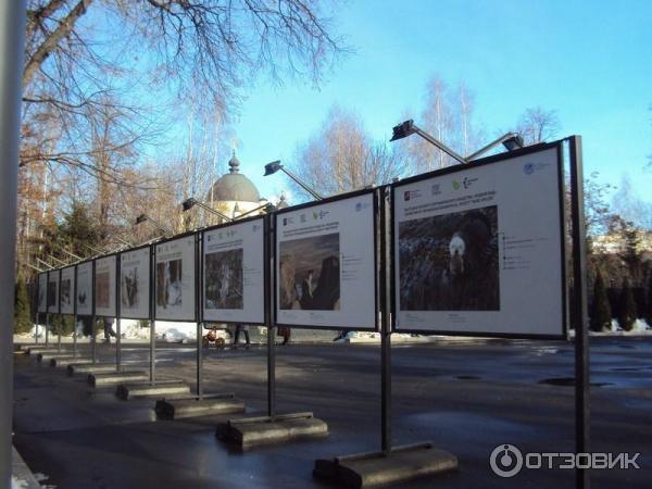 Выставка Российского географического общества Редкий вид в Таганском парке культуры и отдыха (Россия, Москва) фото