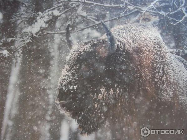 Выставка Российского географического общества Редкий вид в Таганском парке культуры и отдыха (Россия, Москва) фото