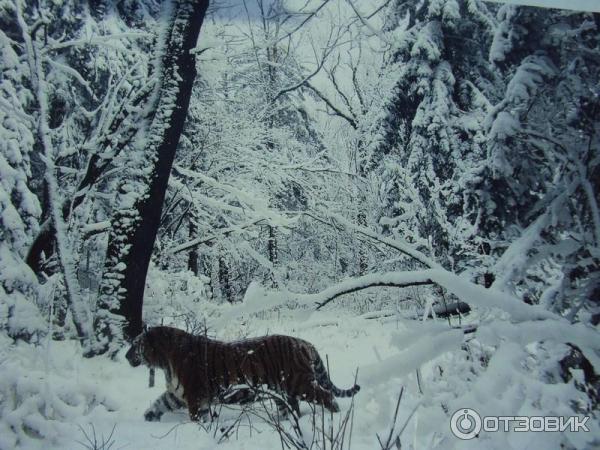 Выставка Российского географического общества Редкий вид в Таганском парке культуры и отдыха (Россия, Москва) фото