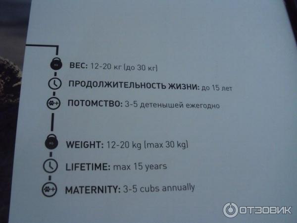 Выставка Российского географического общества Редкий вид в Таганском парке культуры и отдыха (Россия, Москва) фото